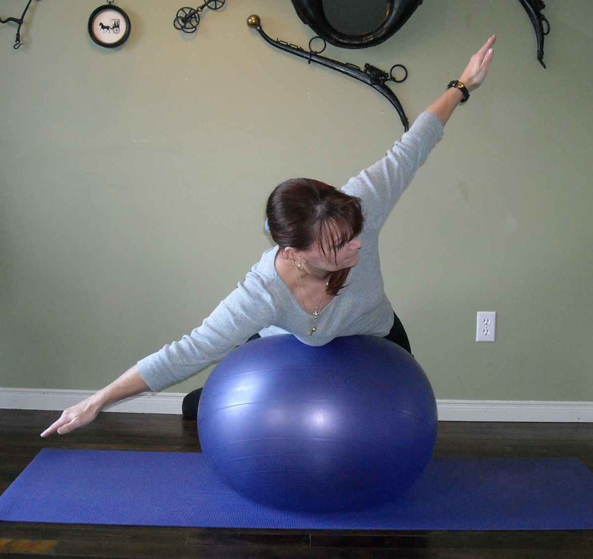 Simple Steps to Training the Rider's Core Horse Journals